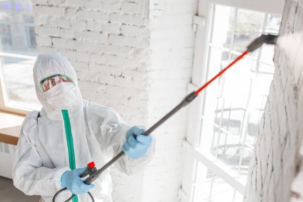 Best Mold Damage Restoration  in Glen Allen, VA