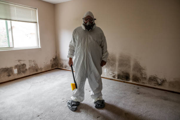 Glen Allen, VA Mold Removal Company