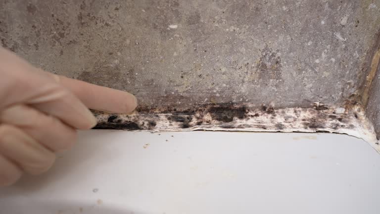 Asbestos and Lead Testing During Mold Inspection in Glen Allen, VA